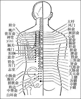 经络不通,要先调膀胱经（附经络图） 艾灸养生 第2张